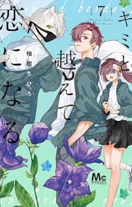 キミと越えて恋になる 7巻